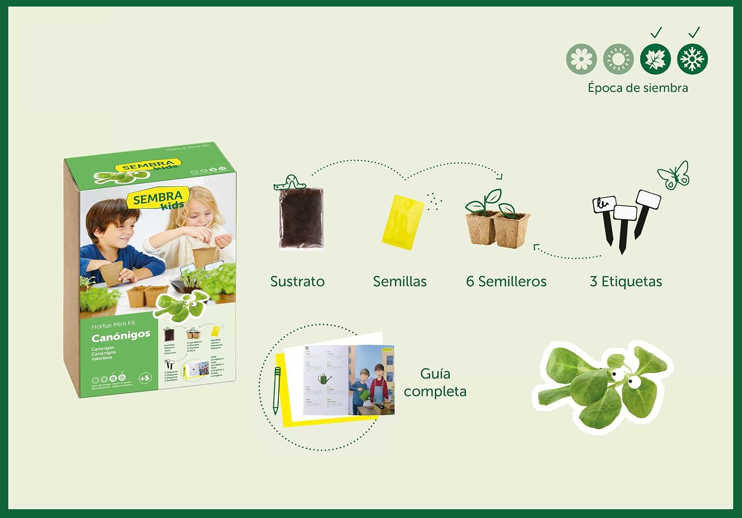SEMBRA - juego educativo, Kit huerto Guisante: Amazon.es: Jardín