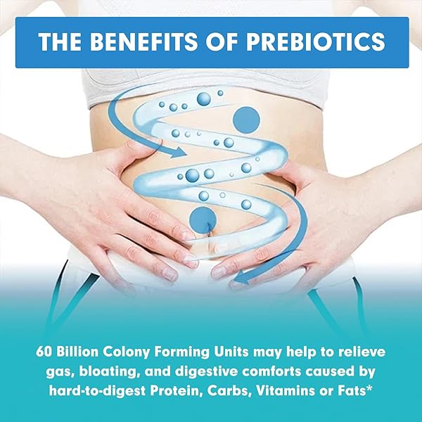 TAOTERS PROBIOTICS FOR DIGESTIVE HEALTH, 60 BILLION CFU – 10 STRAINS | PREBIOTICS AND PROBIOTICS – IMMUNE & GUT HEALTH FOR WOMEN & MEN | SUPPORTS PH BALANCE, DIARRHEA, GAS & BLOATING | 30 CAPSULES