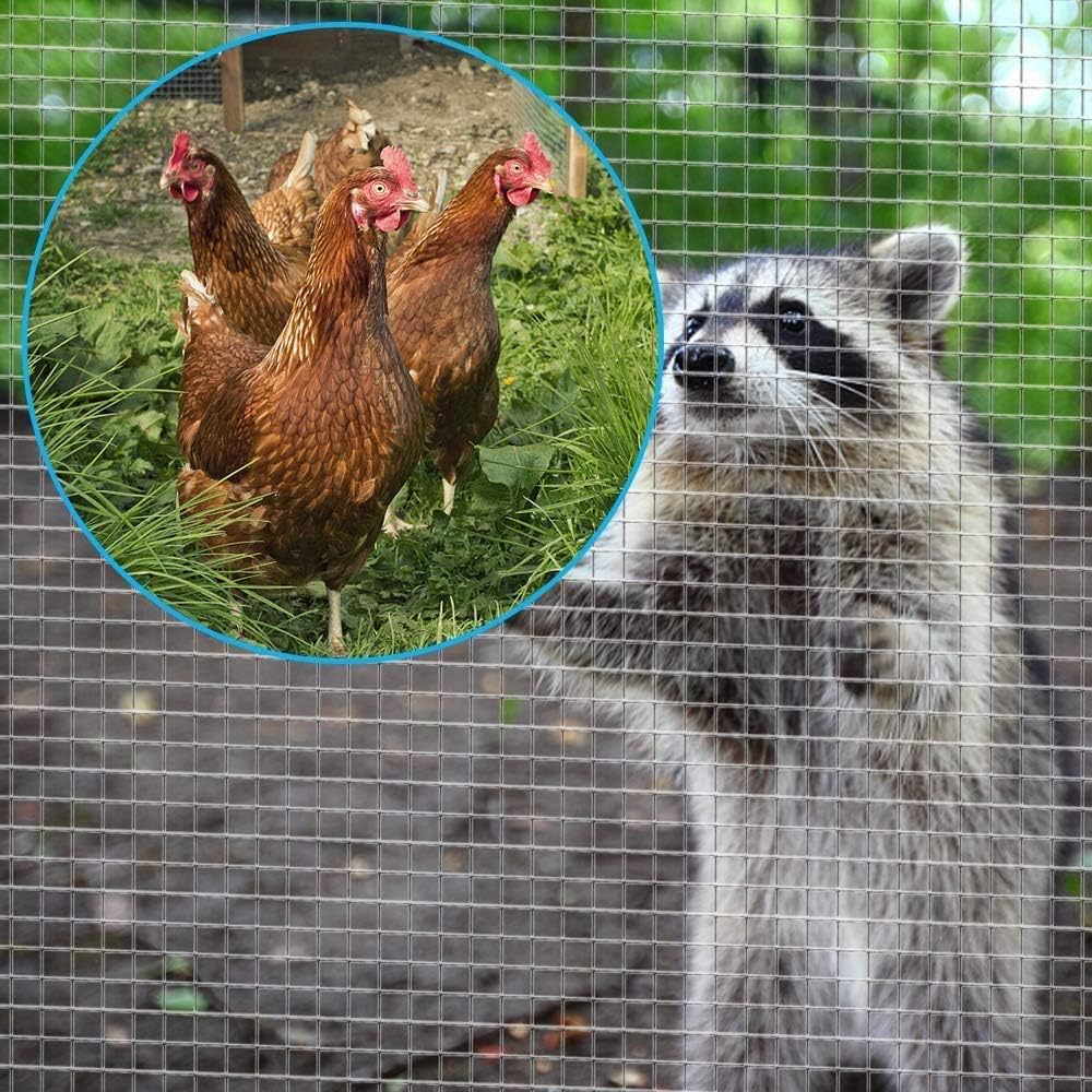 Amagabeli 48x50 Hardware Cloth 1/2 Inch 19 Gauge Square Galvanized Chicken Wire Fence Mesh RABIT Wire Fence Poultry Netting Cage Snake Fence : Garden & Outdoor