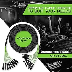 GearIT 8-Channel XLR Snake Cable
