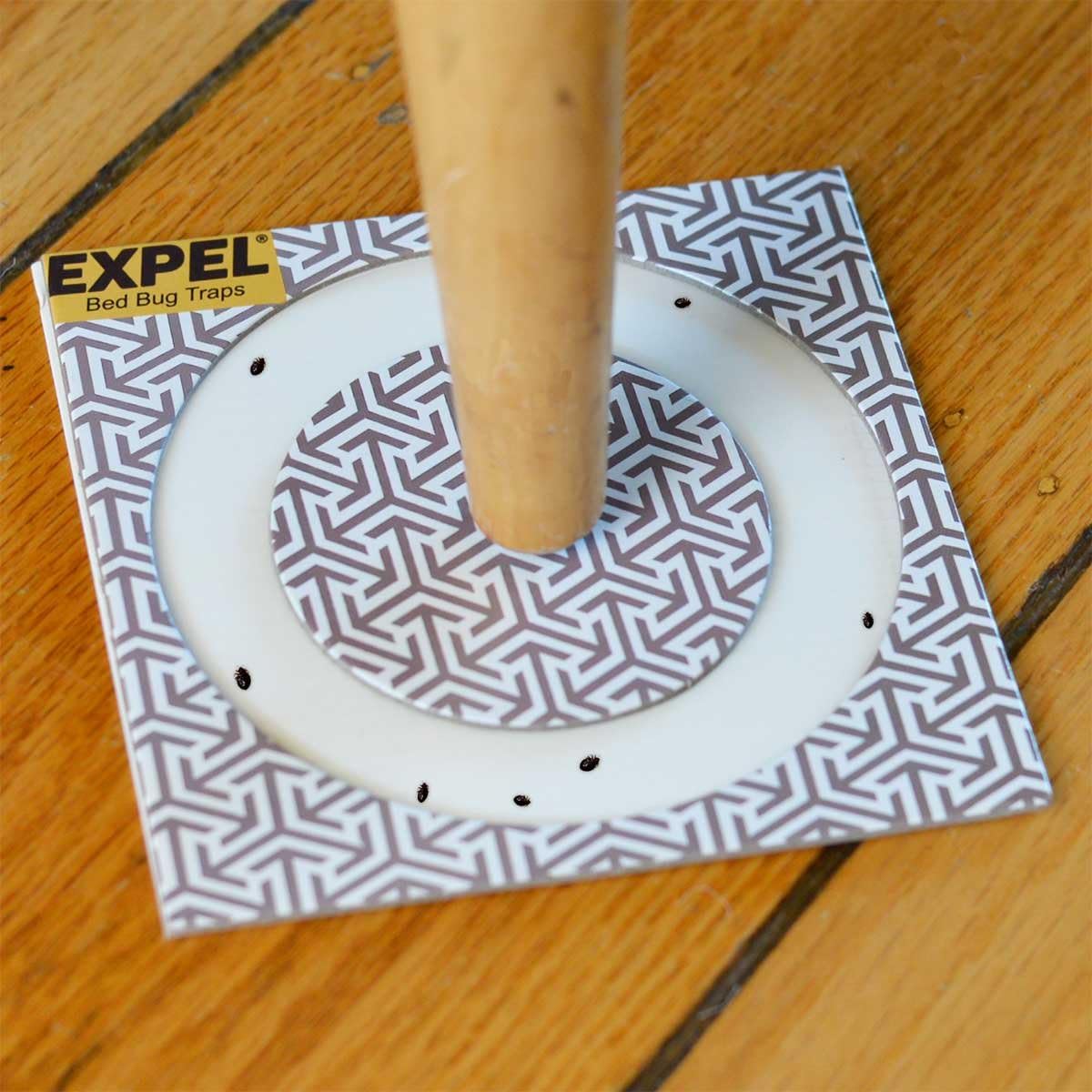 Expel Bed Bug Glue Trap Insect Interceptors Stops All Bedbug Climb Up Activity Detection System 8 Pack Amazon Co Uk Garden Outdoors