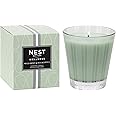 NEST New York Scented Classic Candle, Wild Mint & Eucalyptus - 8.1 oz - Up to 60-Hour Burn Time - Reusable Glass Vessel