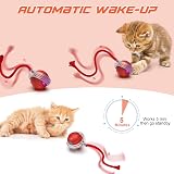 IOKHEIRA Interactive Electric Cat Toy Red Rechargeable Motion Animal Toy view 3