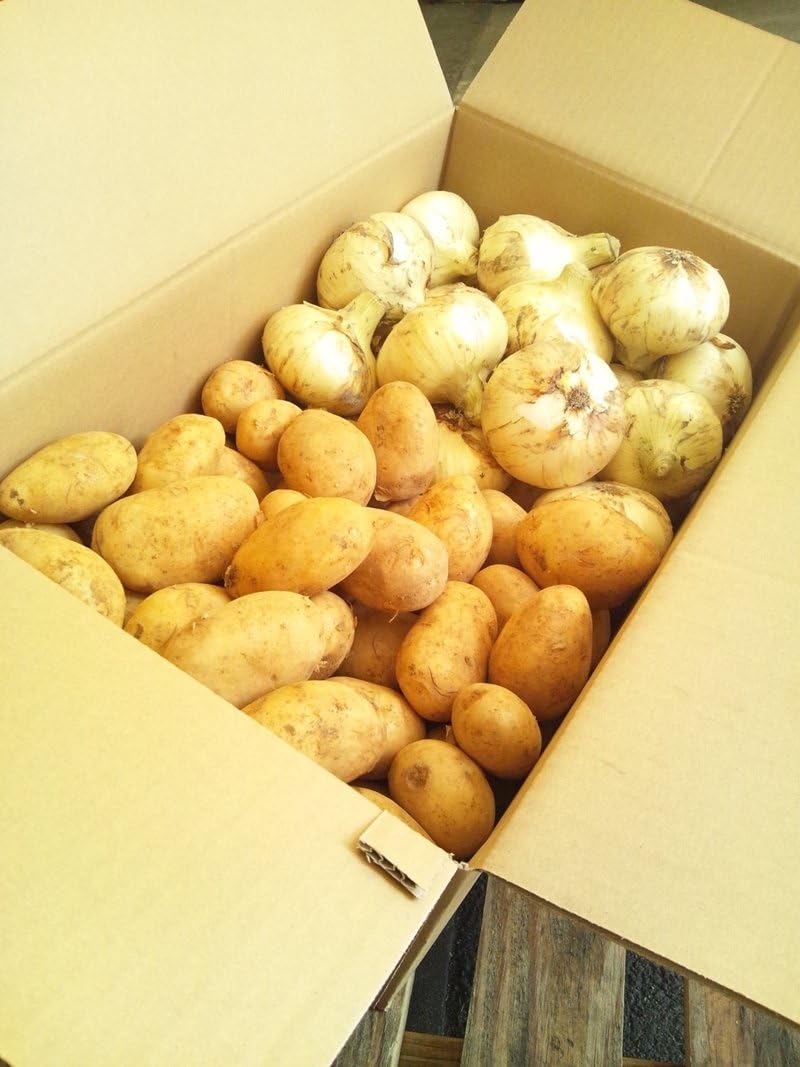 Amazon 新たまねぎ たまねぎ 新じゃがいも じゃがいも 佐賀県産 九州各県産 2品詰合せセット Tanaka Sho Ten たまねぎ 通販