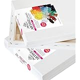 Phoenix&reg; Stretched Canvas 2 Pack 8x10 inch for Artists