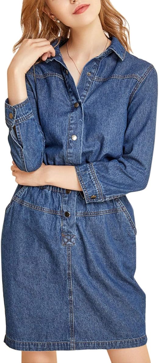 denim polo dress