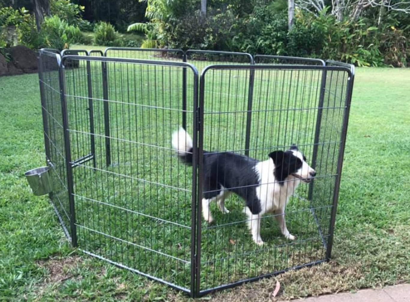 xl dog playpen