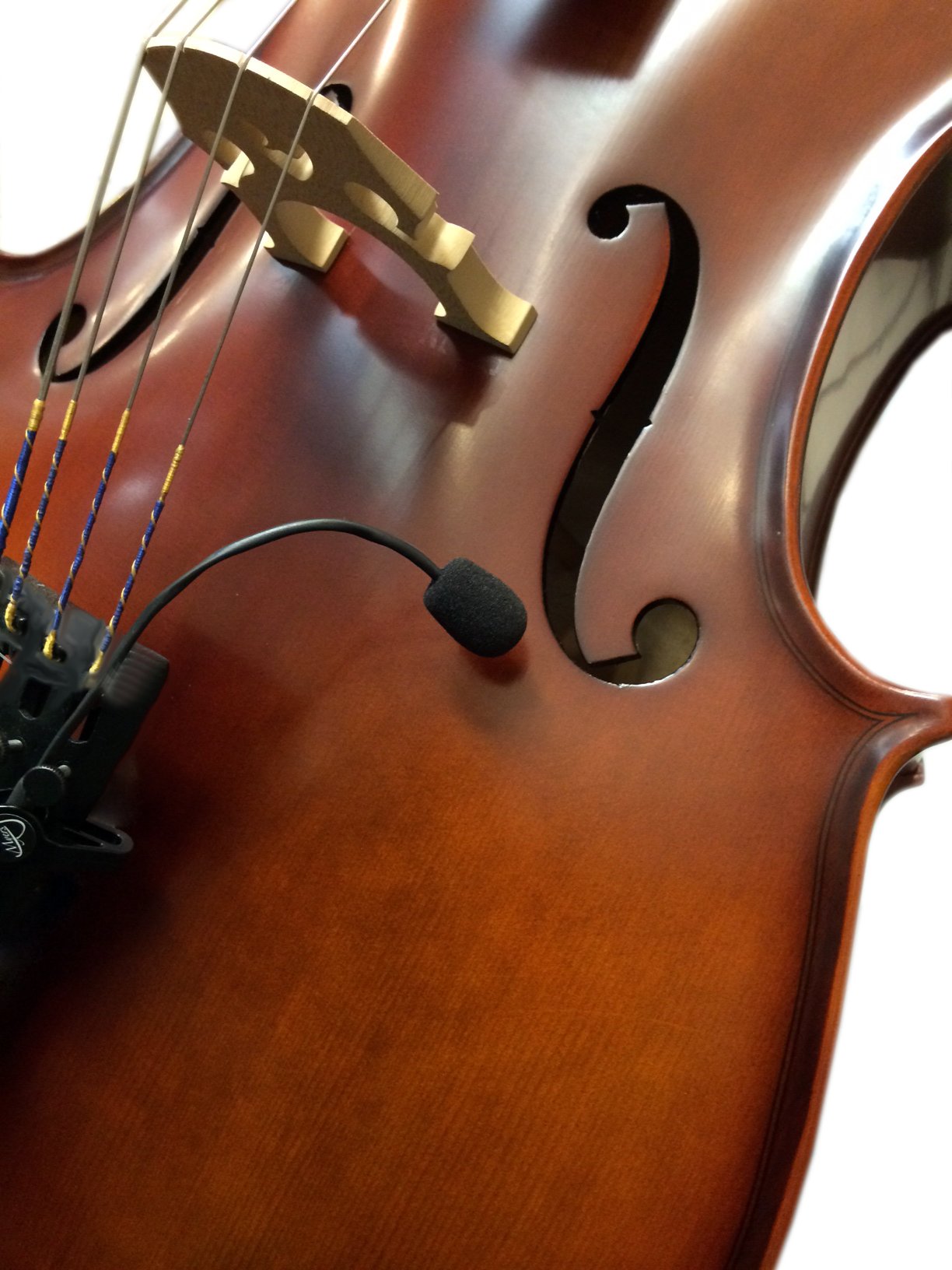 The Feather Cello Pickup with Flexible Micro Gooseneck by Myers Pickups