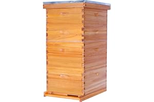 POLLIBEE 10 Frame Langstroth Beehive Beeswax Coated Complete Bee Hives Includes Bee Frames and Waxed Foundations (2 Deep Boxes & 2 Medium Boxes)