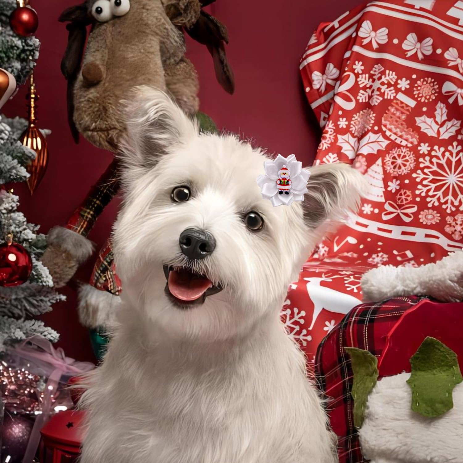 View 4