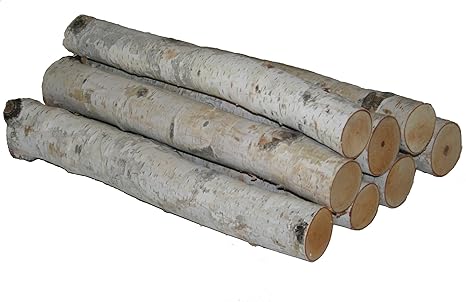 white birch logs