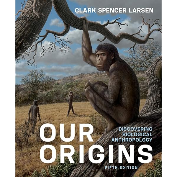 Amazon.com: World Prehistory and the Anthropocene eBook