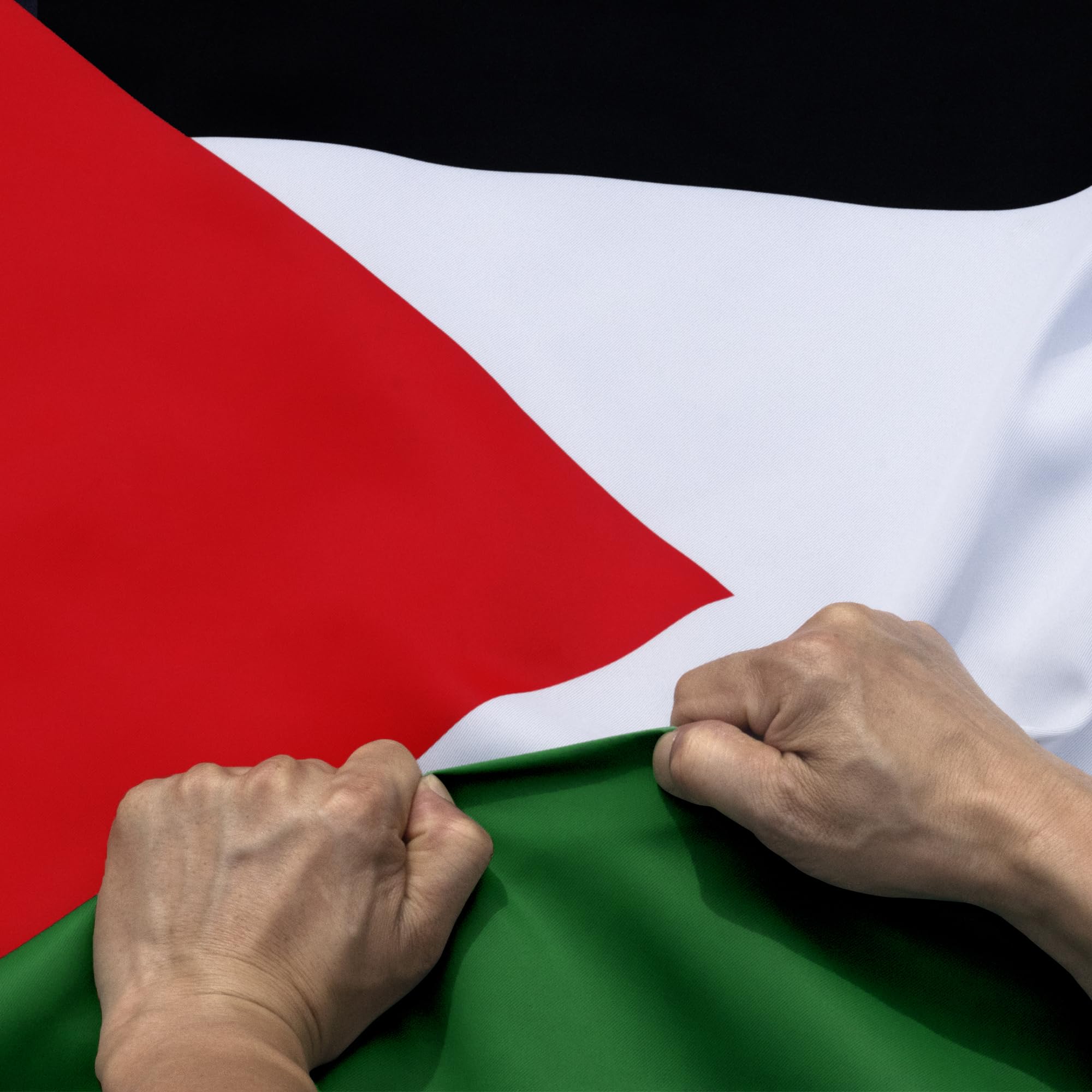 Anley Rip-Proof Double Sided 3-Ply Palestine Flag 3x5 Foot - Vivid Color, Canvas Header and Wrinkle Resistant - The Strongest, Longest Lasting Palestinian National Flags 3 X 5 Ft