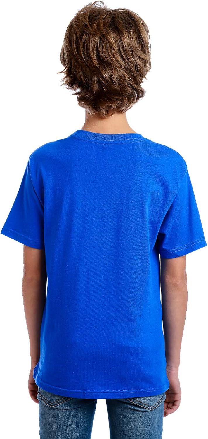 LEGO Boys' Round Neck Short Sleeve Lego Characters Graphic Design T-Shirt, Little Boys & Big Boys Tee: Clothing