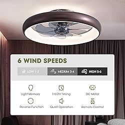 LUDOMIDE Ceiling Fan with Lights and
