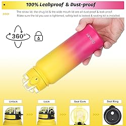 OLDLEY Insulated Water Bottle with Straw 20oz