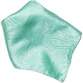 Vesuvio Napoli PAISLEY Design Men's Hankerchief Pocket Square Mens Hanky Hankie