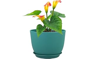 Meowell Plant Pots 12 inch, Plastic Planters with Drainage Holes and Saucers, Large Flower Pots for Indoor Outdoor Plants, Modern Decorative Pots for Garden House Plants, Blue Green