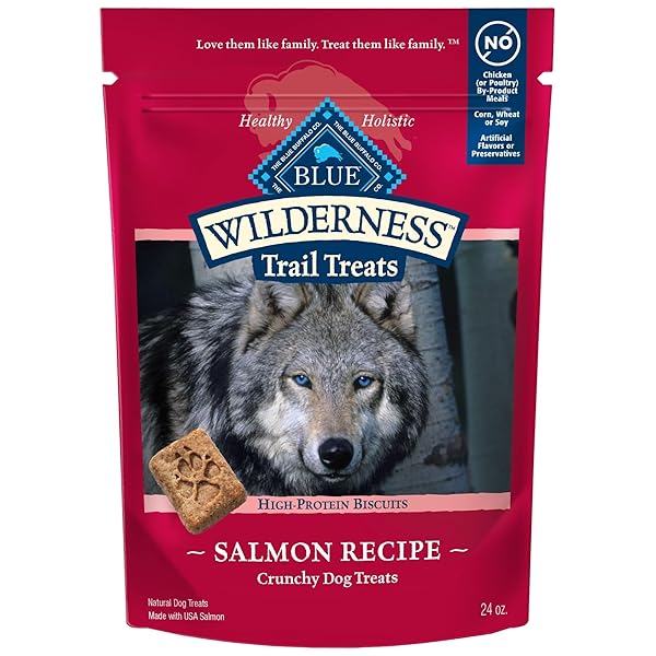 BLUE BUFFALO WILDERNESS TRAIL TREATS CRUNCHY DOG BISCUITS, GRAIN-FREE AND HIGH-PROTEIN DOG TREATS MADE WITH NATURAL INGREDIENTS, SALMON RECIPE 24-OZ BAG