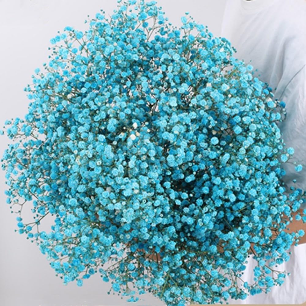 Photo 1 of 17.2 Inch Dried Flowers Baby's Breath Bouquet - 2500+ Dry Flowers,Natural Gypsophila Branches for Home Decor, Wedding, Table Decor, DIY Wreath Floral, Dry Flowers Bulk for Vase (blue)