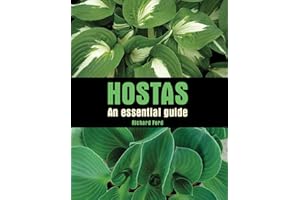 Hostas: An Essential Guide