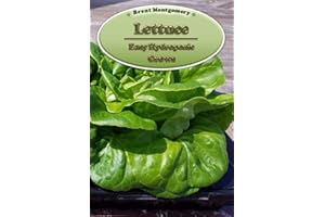 Lettuce - Easy Hydroponic Grows