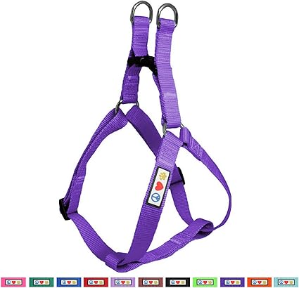 Pawtitas Harnais Pour Chien Chiot Et Animal De Compagnie Réglable Pratique Couleur Unie Extra Petit Violet Collier Et Harnais Assortis Vendus