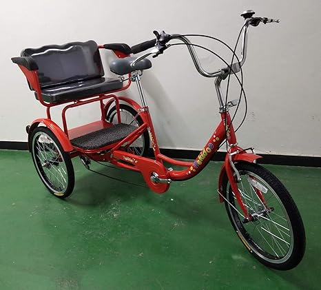 adult tricycle for two