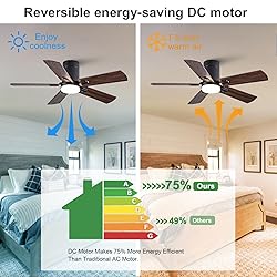BOOMJOY 42 Inch Black Ceiling Fans with Lights and