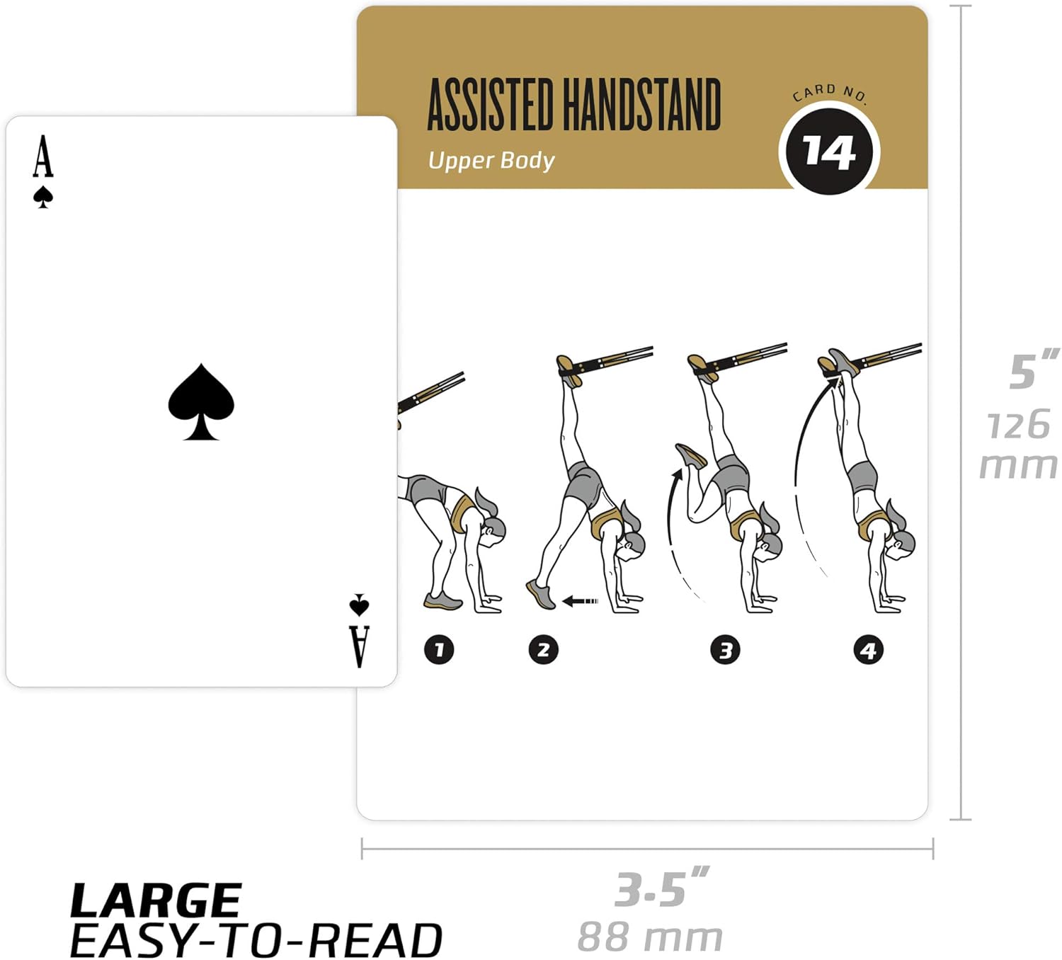 Suspension Exercise Cards Vol 2, Set of 62 : Compatible w TRX, Woss, & Ritfit Trainer Straps : 50 Exercises for a Total Body Workout : Extra Large, Waterproof & Durable, With Diagrams & Instructions : Sports & Outdoors