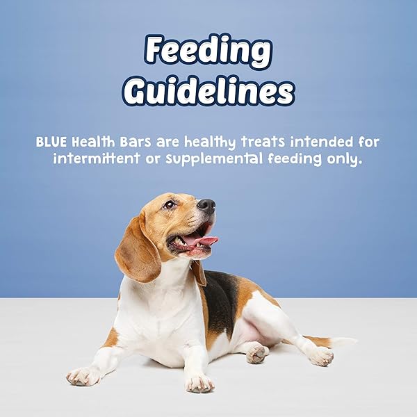 BLUE BUFFALO HEALTH BARS FOR DOGS, APPLE YOGURT, 16 OUNCE