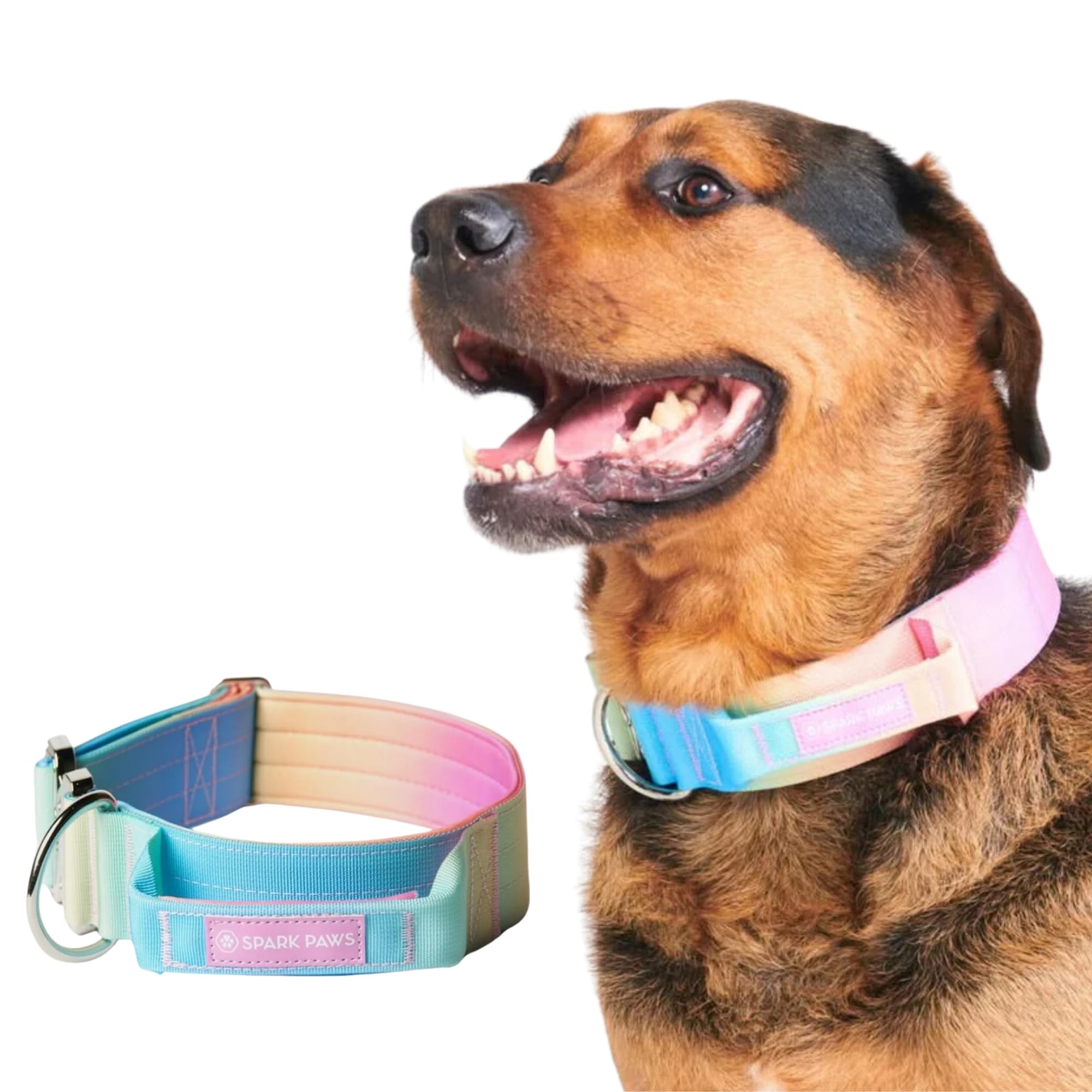 Spark Paws Tactical Dog Collar - Premium Quality Collar, Robust and Durable Design for Large, Strong Breeds - Pitbulls, Boxers - Pastel Icing, M