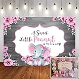 Avezano Pink Elephant Baby Shower Backdrop for Girl
