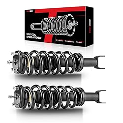 Torchbeam Front Struts Assembly w/Coil Spring