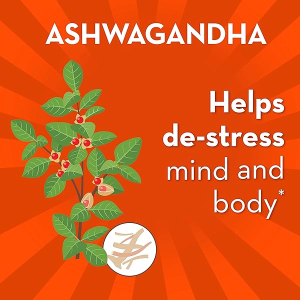 ALIGN PROBIOTIC, DIGESTIVE DE-STRESS, PROBIOTIC FOR WOMEN AND MEN WITH ASHWAGANDHA, HELPS WITH A HEALTHY RESPONSE TO STRESS, GLUTEN FREE, SOY FREE, VEGETARIAN, 21 CAPSULES