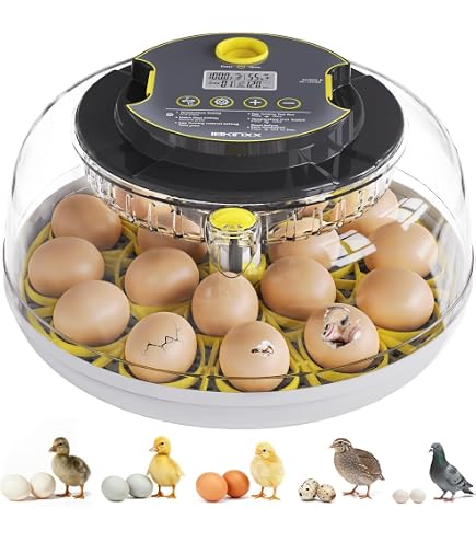 Amazon.com: 18-33 Egg Incubator for Hatching Eggs, Automatic Egg