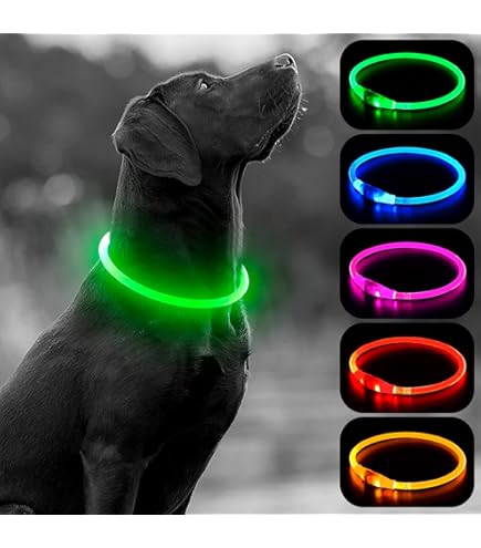 USB Rechargeable LED Glow-in-the-Dark Dog Collar – Night Safety Light-Up Pet Collar By KAWAIIUS
