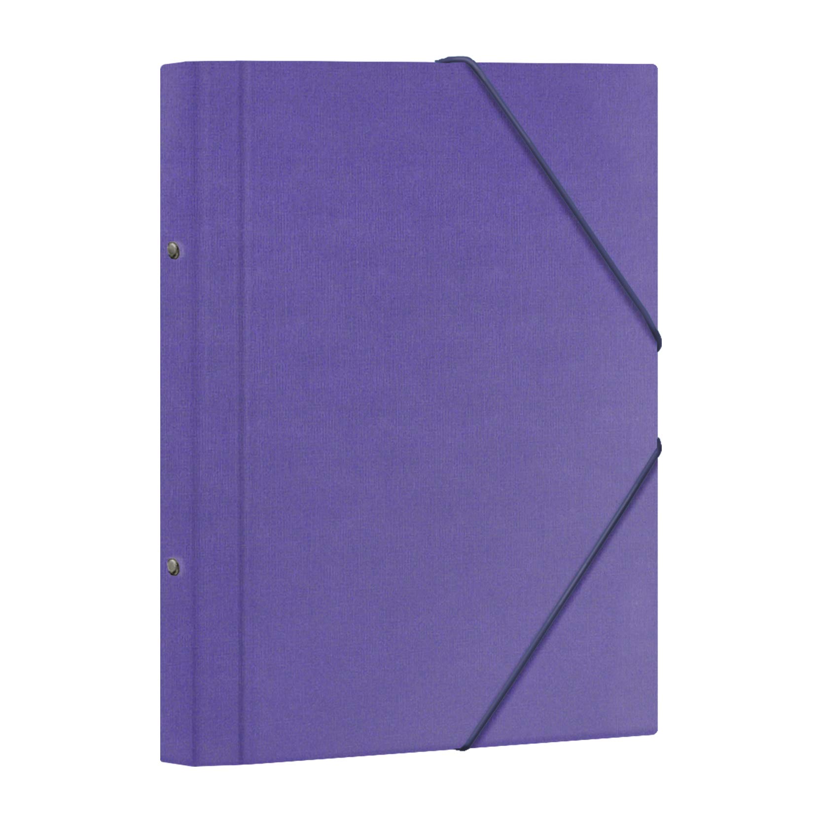 Dohe - Purple Laminated Sorter