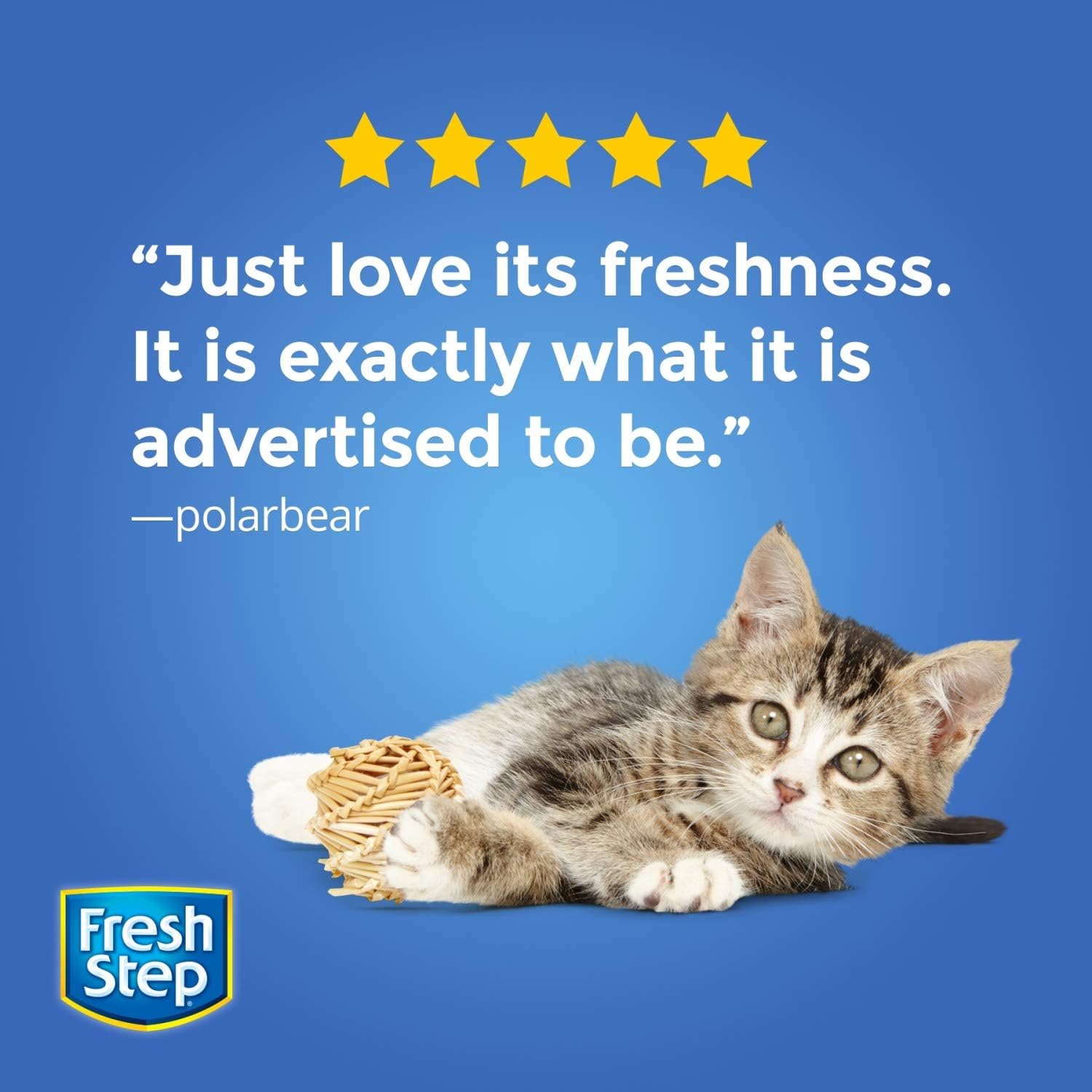 Fresh Step Extreme Scented Litter with The Power of Febreze, Clumping Cat Litter – Mountain Spring, 14 lb, Grey : Pet Supplies
