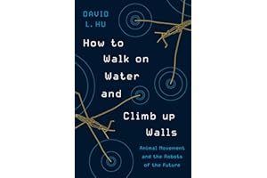 How to Walk on Water and Climb up Walls: Animal Movement and the Robots of the Future