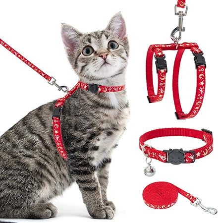cat collar harness