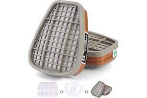 PANBEAR 6001 Filter Cartridges for Respirator - Gas Organic Vapor Chemical Cartridge Filter Compatible with 6200,6800,7502,Respirator (6001 Filter Cartridges Set)