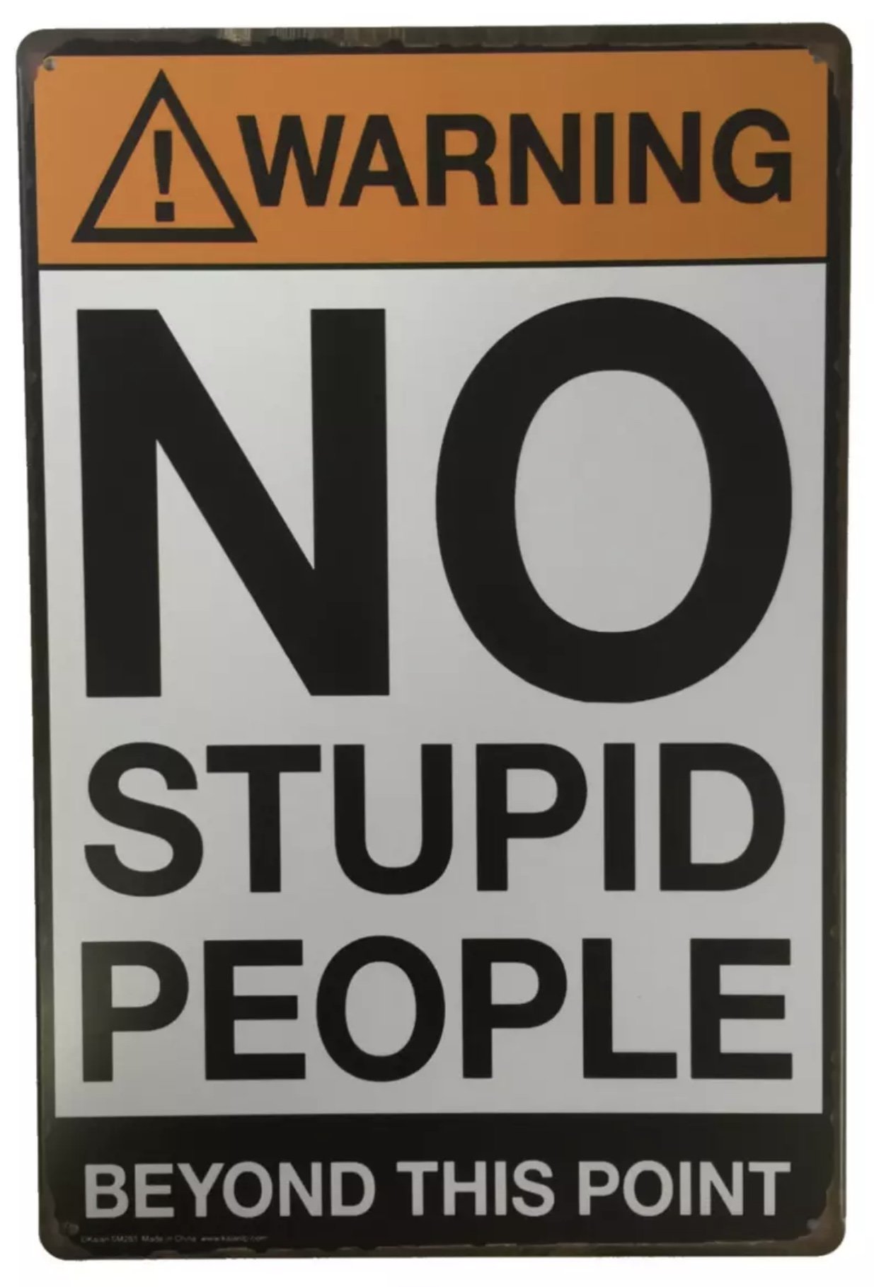 Tin Sign Warning No Stupid People Beyond This Point Metal Novelty Retro Vintage Wall Plaque 20x30cm Decorative Sign - Ideal for Pub Bar Office Home Bedroom Dining Room Kitchen