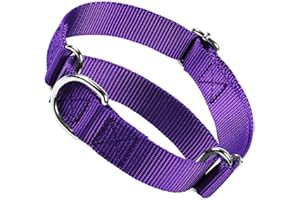 YOUALSO Purple Martingale Collar for Dogs, No Pull Choke Collar for Dogs, Escape Proof Choker Training Cinch Pet Collars for Small Medium Large Breed Dog, M