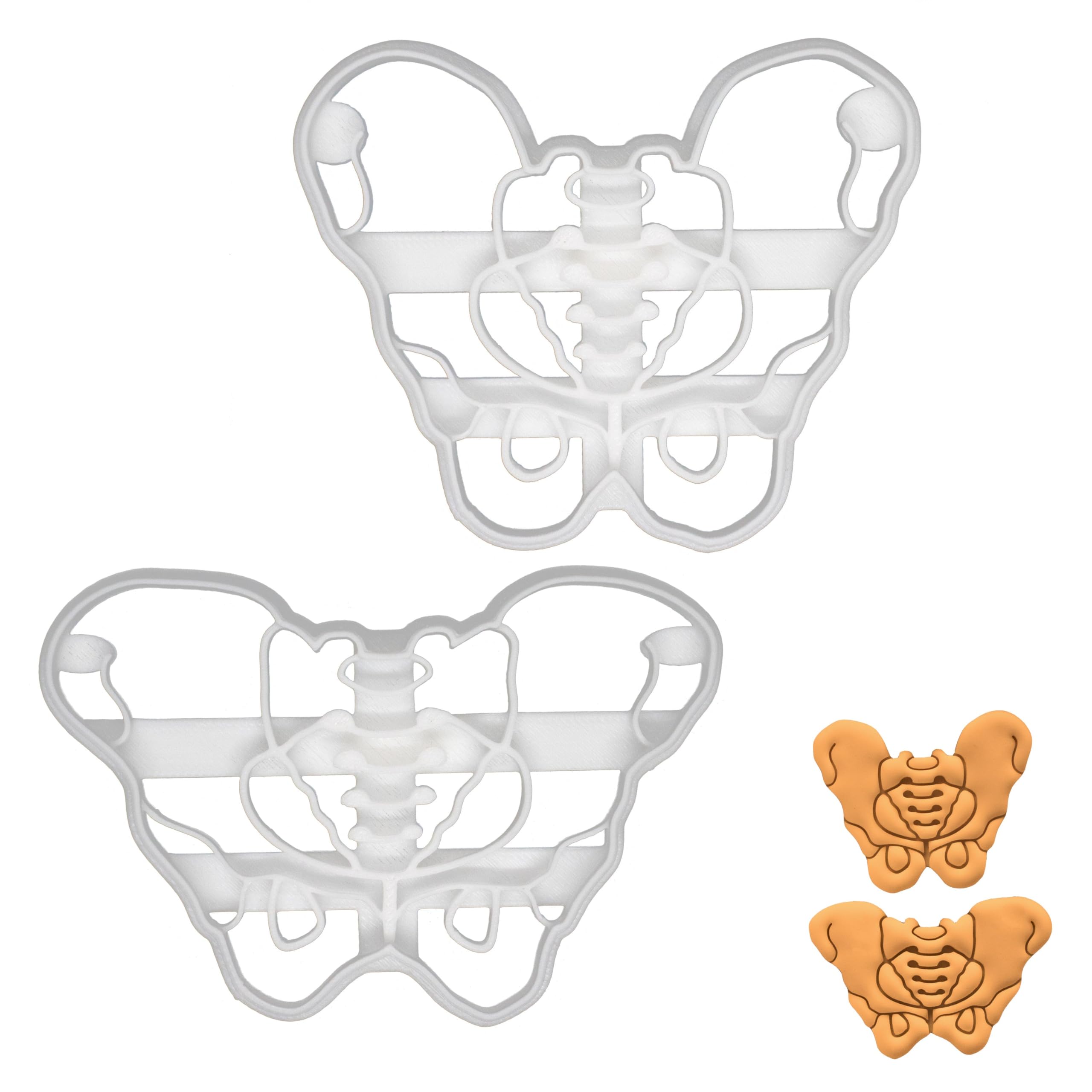 BAKERLOGY Set of 2 Pelvis Cookie Cutters (Designs: Male and Female Pelvis) - Detailed Biscuit Cutter Design for Baking and Crafts, Ideal on Fondant, Dough, Clay