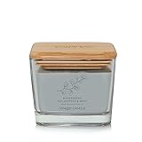 Yankee Candle Refreshing Eucalyptus & Mint Well