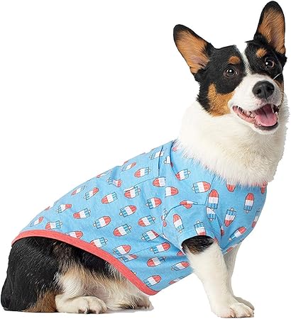 toilet cat litter tray