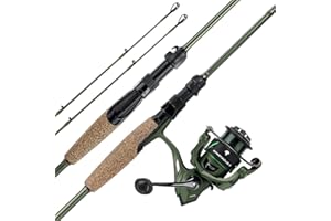 KastKing Spartacus II Twin-Tip Fishing Rod and Reel Combo, Spinning & Casting Combo, Fishing Poles and Reels Combo, KastFlex IM6 Graphite Blanks, 2-Piece Rods with Extra Tip