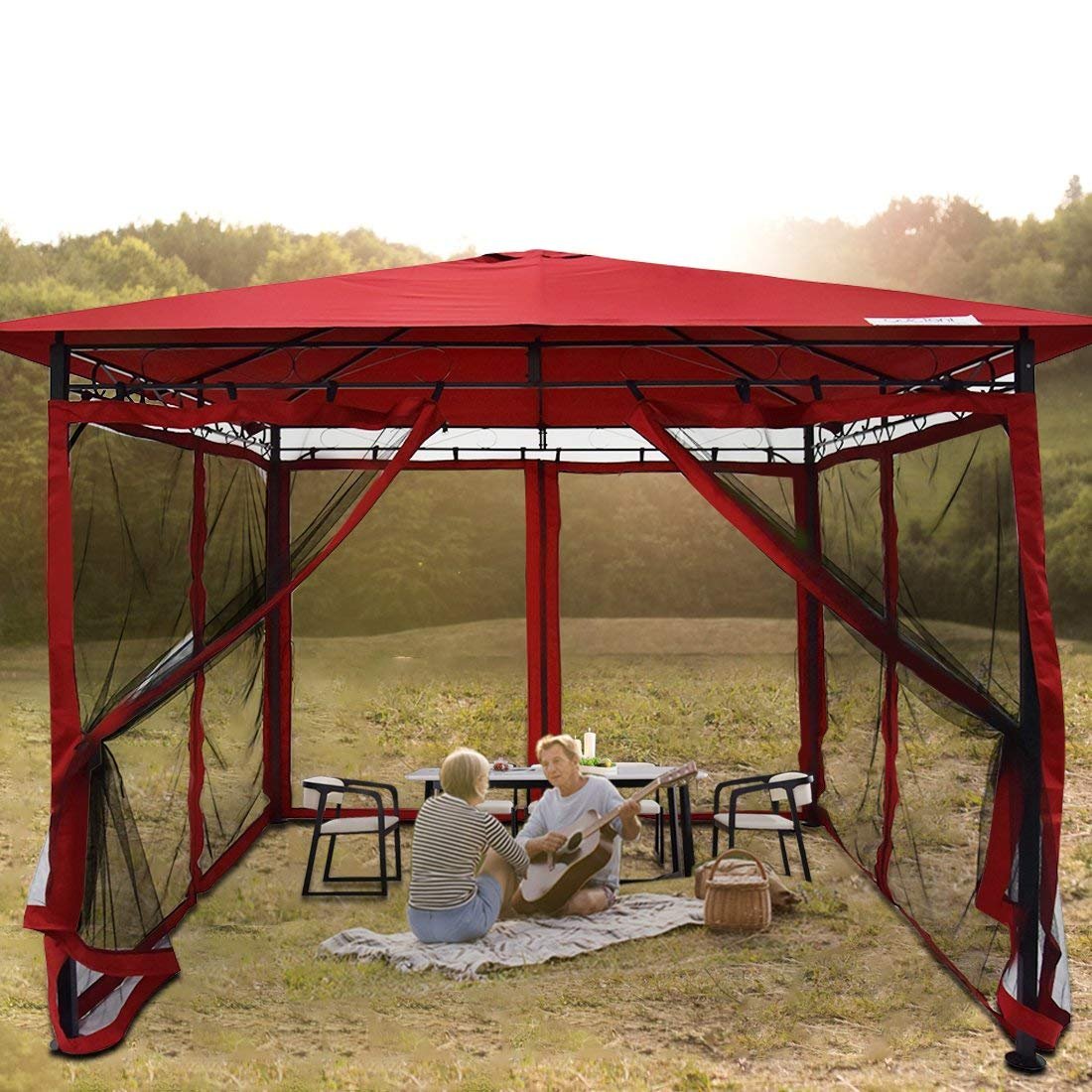 Amazoncom Quictent 10x10 Metal Gazebo With Netting Screened