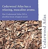 Absolute Aromas Cedarwood Essential Oil 10ml Pure Atlas Cedarwood view 2